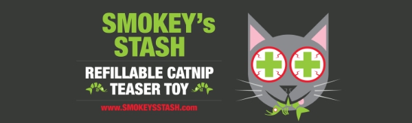 Cat toy for cats with catnip fish toy