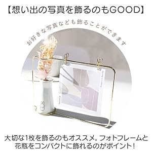 Amazon.co.jp: ティーズファクトリー ミッフィー ワイヤーフォト