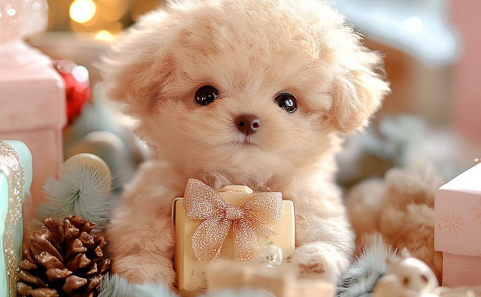 ❤️SALE❤️吠える犬のぬいぐるみ ❤️ 大きな目 リボン付き　可愛いいぬ 71YpmWQePtL._UF894,1000_QL80_.jpg
