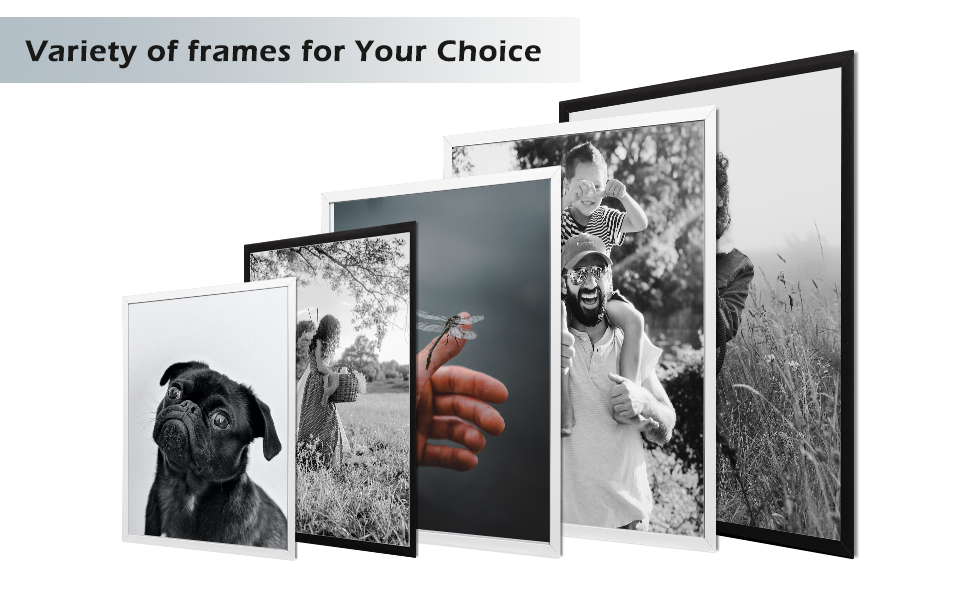 upsimples 11x14 Picture Frame Set of 5, Display Pictures