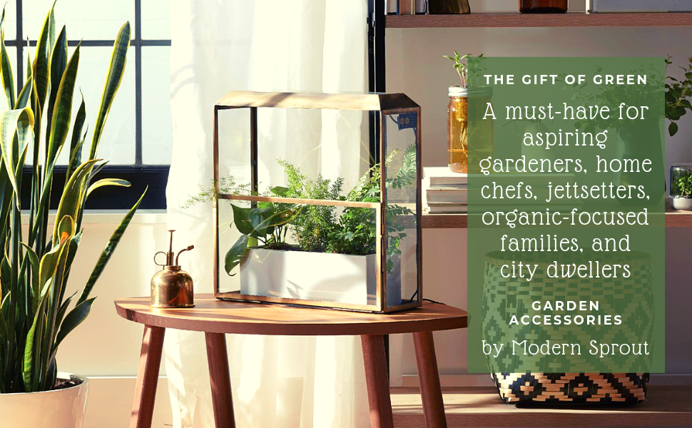 Modern Sprout Plant Mister, Spray Bottles for Indoor