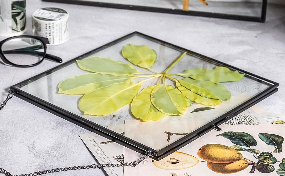 NCYP 7.87" Small Wall Hanging Black Glass Frame for