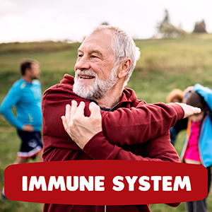 Maxibears gummies, hemp gummies, hemp oil, hemp, stress relief, anxiety relif