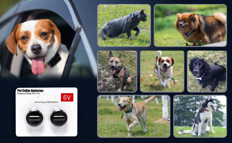 2 Packs Pet Collar Batteries Compatible with PetSafe RFA67