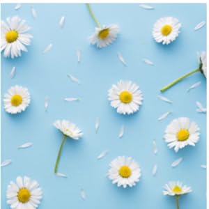 Chamomile Essential Oil
