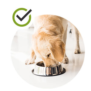 Supports healthy digestion