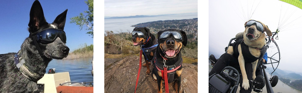 Large manufacture image 4