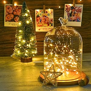 lights stirng outdoor