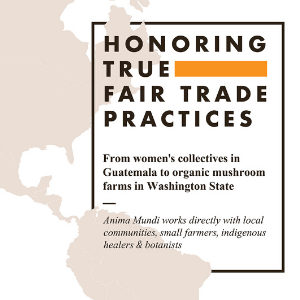 Anima Mundi Cordyceps Mushroom Powder - Real Organic Cordyceps Mushroom Powder - Mushroom Powder Supplement for Liver and Immune 12 brand story