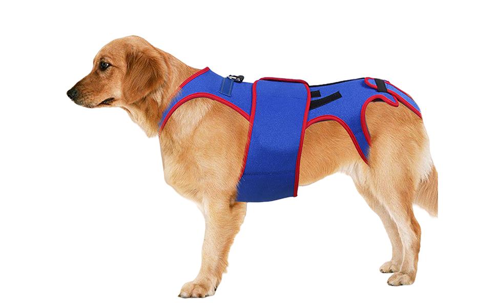 Dog Hip Support Brace