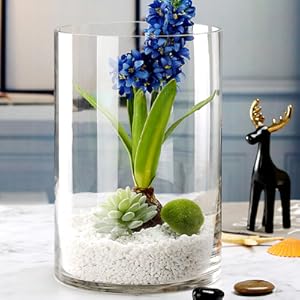 美品 フラワーショップ購入 フラワーベース ガラス 口径20cm 高さ80cm ガラスベース 枝物 円柱 丸型シリンダーベース model 1540サイズ