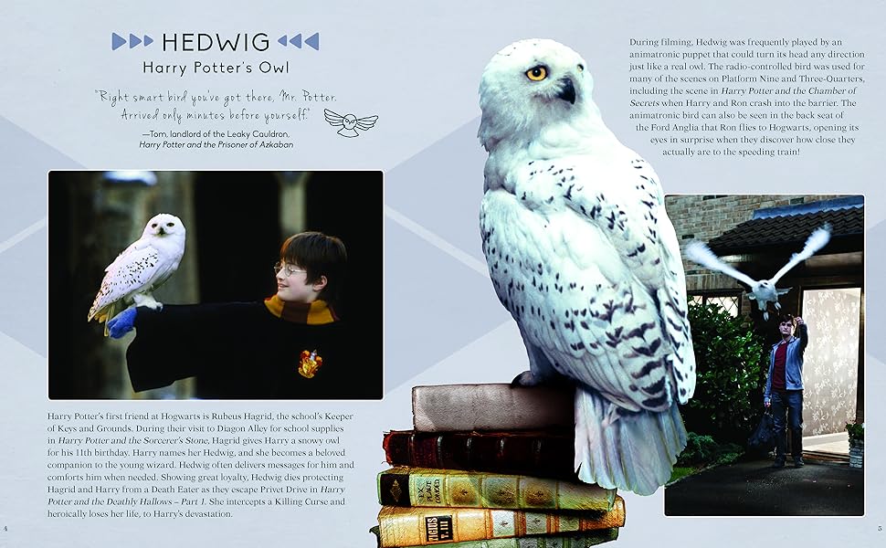 Amazon.com: Harry Potter Hedwig Owl 3D Wood Puzzle & Model