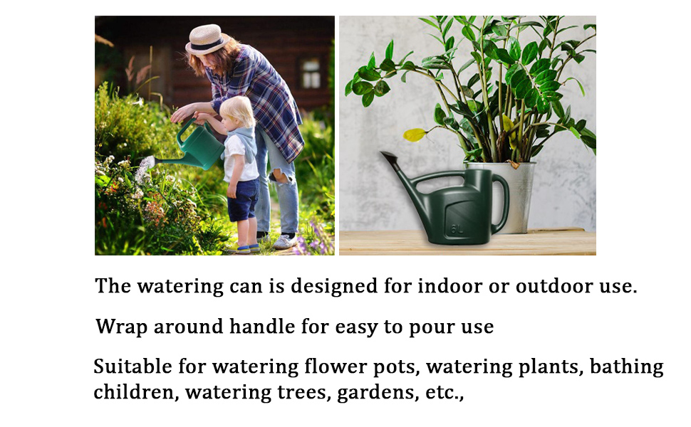 Plant watering
