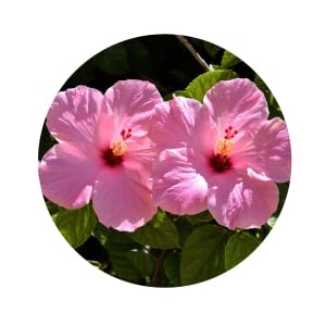 Small manufacture image 7