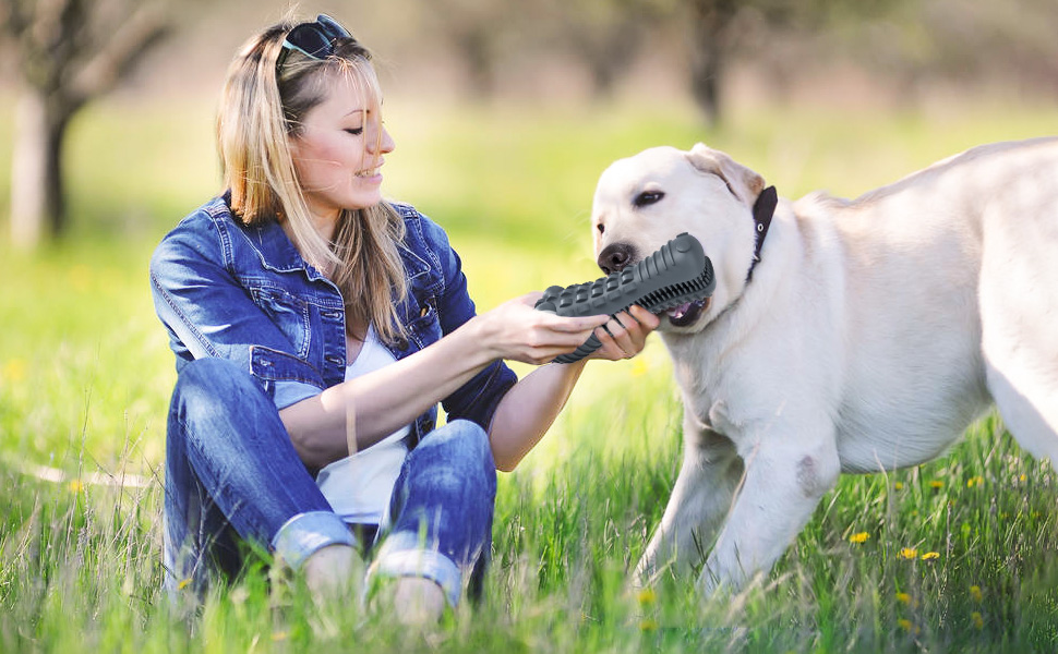 interactive dog toys