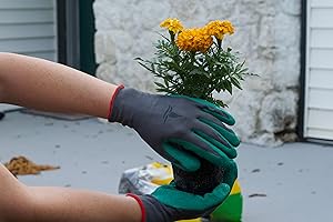 Tool Workglove Dig Chop Prune Cut Yard Lawn Garden Tree Shrub Plant Flower Vegetable Spring Summer