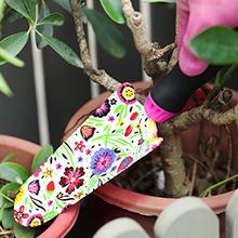 garden tools