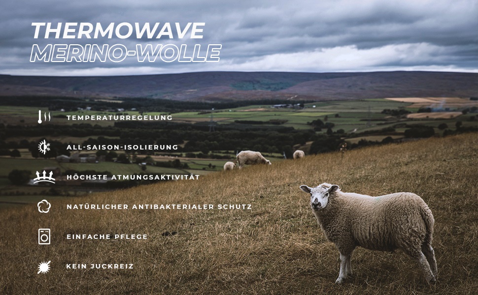 THERMOWAVE