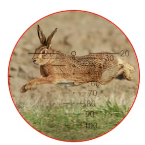 crossbow sight