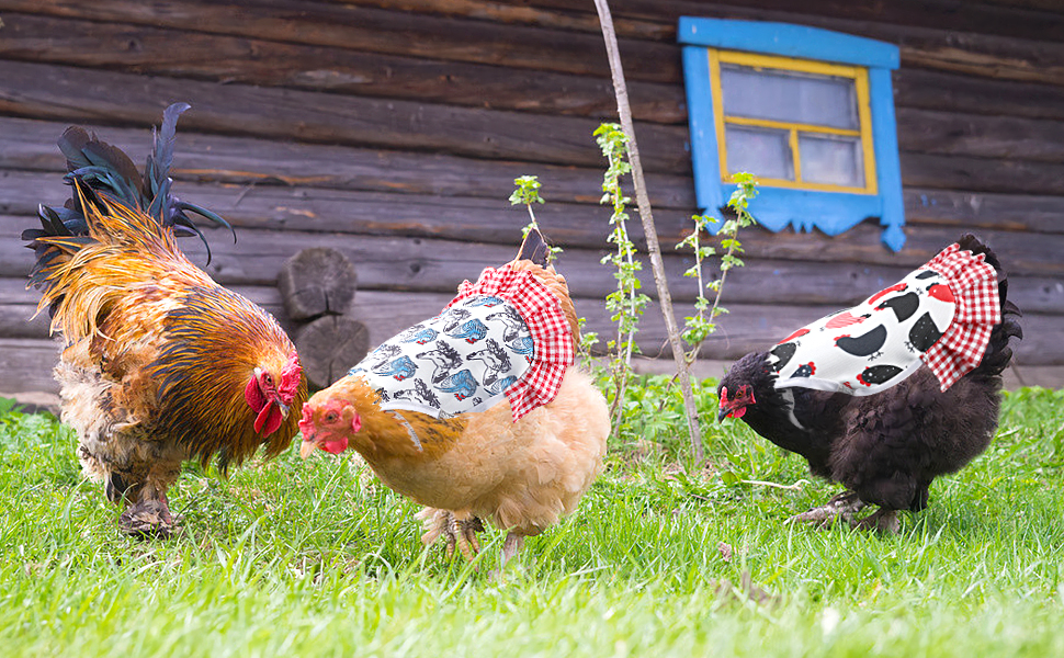 PETKNOWS Standard Chicken Saddle, Hen Apron with Elastic