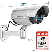 Fake Security Camera