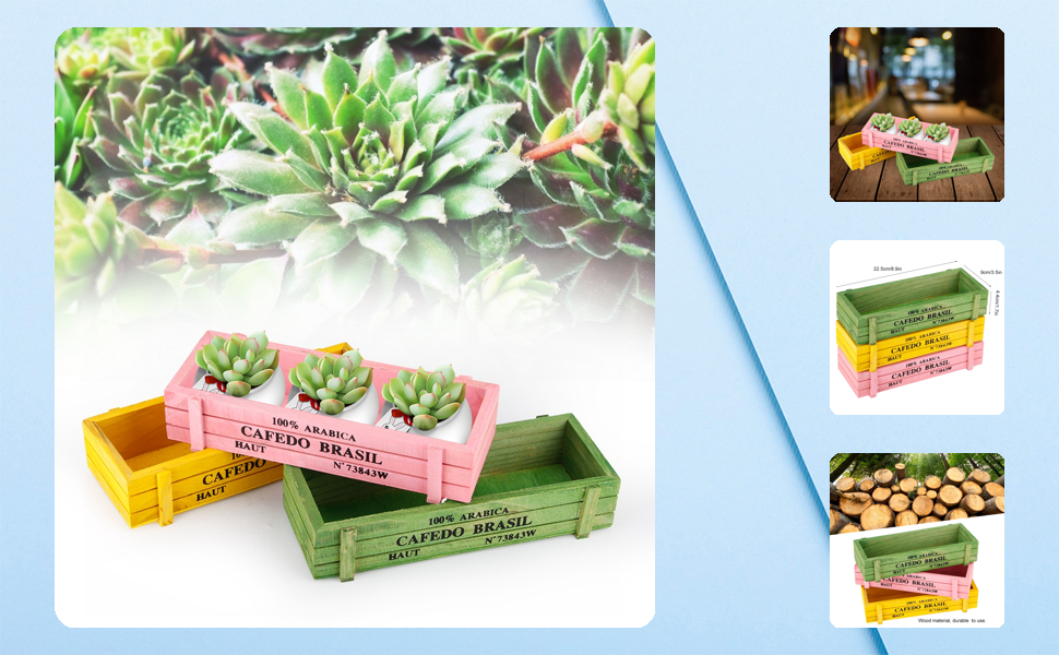 Amazon.co.jp: Atyhao 【3点セット】寄せ植え 箱 観葉植物