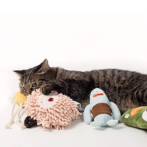 おすすめの使用頻度