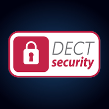 DECT security wireless