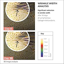 Clinical study result wrinkles Nutrova Collagen+Antioxidants