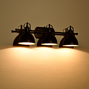 Oil rubbed bronze Vanity Light