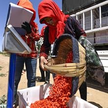 red jujube