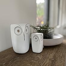 shelf decor bird decor farmhouse cabin decor house gifts for couples owl statue owl figurine imax tv