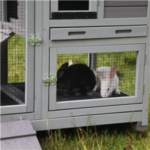 rabbit hutch