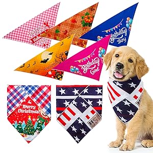 Holiday dog bandana set Clearance