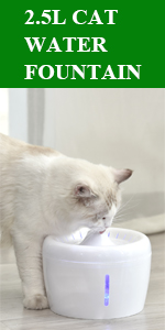 cat water fountain