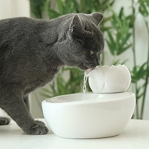 Amazon Co Jp 自動給水器 ペット用 水飲み 陶器製 セラミック ウォーターファウンテン ロータス ホワイト 静音 犬用 猫用 インテリア 省エネ 蓮 ホーム キッチン
