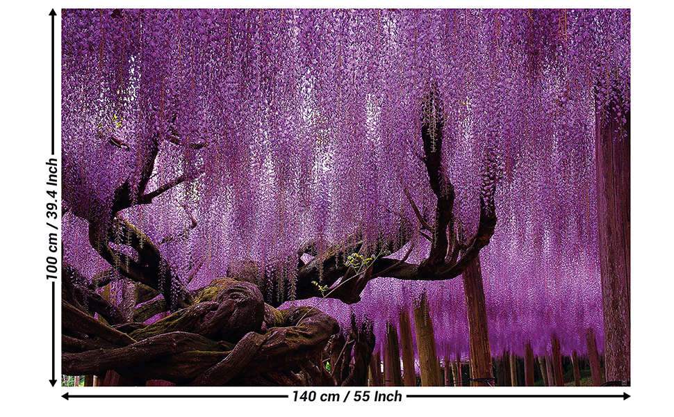 Garden Floral Fairy Wall Mural Wallpaper Amazon Amazon.com: GREAT ART Poster – Wisteria – Picture Decoration Chinese