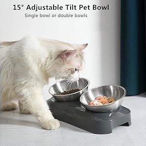 pet bowl