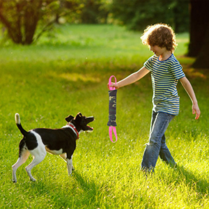 dog tug toy