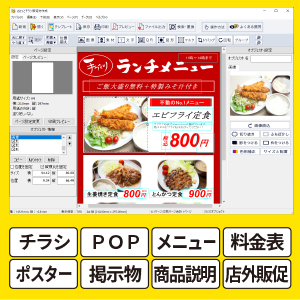Amazon.co.jp: ささっとチラシ販促物作成【ECOパッケージ版