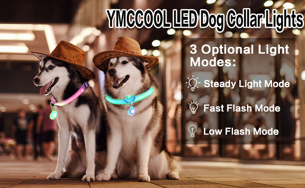 dog lights for collars