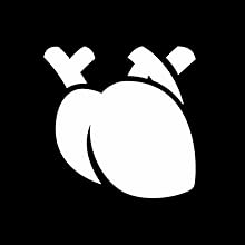 Circulación sanguínea