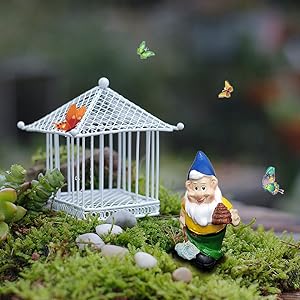 fairy garden gnomes