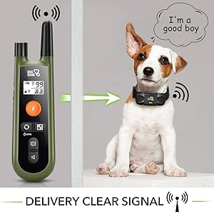 dog care dog training collar with remote training collar for dogs 