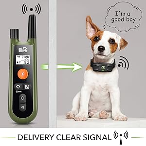 dog care dog training collar with remote training collar for dogs 