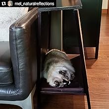 A-Frame Cat Bed from The Refined Feline