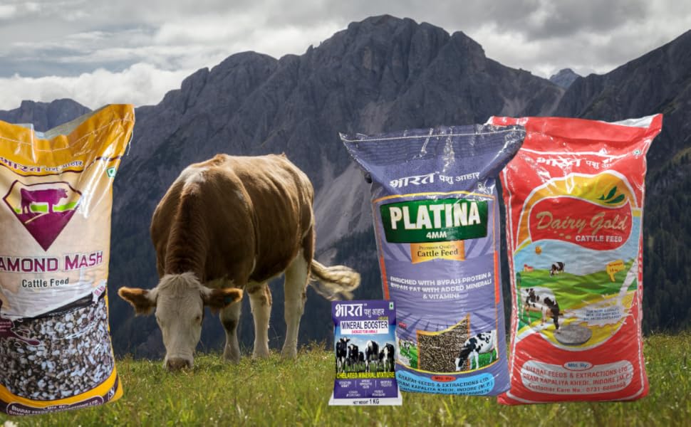 Buy Platina Bharat Feeds & Extractions Ltd Cow Feed/Buffalo Feed/Cattle