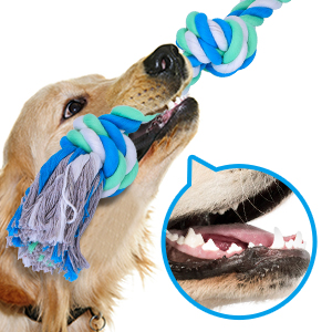 Reinigung & Gesundheit von Zähne