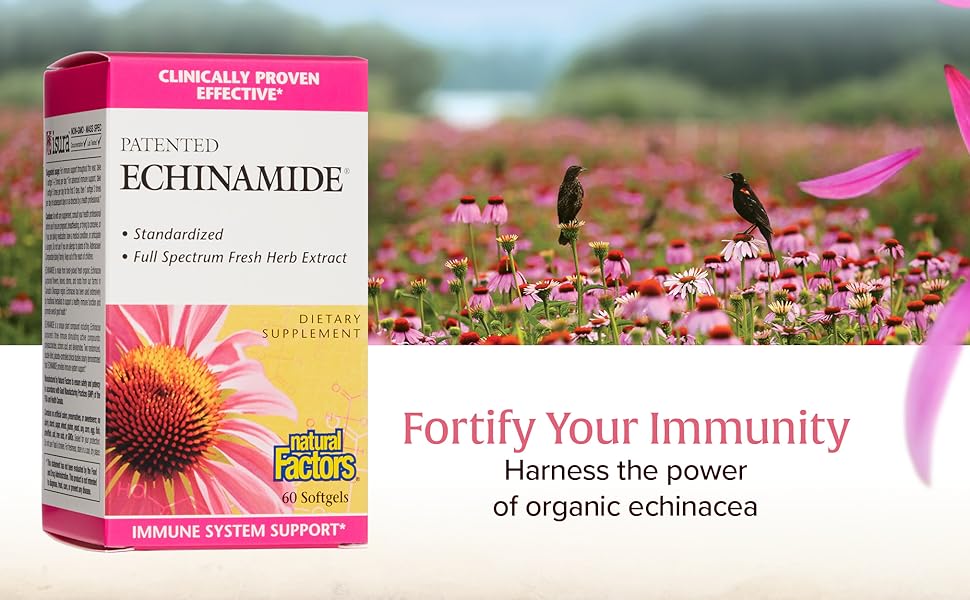Fortify Your Immunity; Harness the power of organic echinacea 