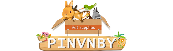 Basking Platform for Turtles